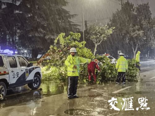 江蘇多地交警推出便民停車措施 商場樓頂免費與道路兩側有序停放